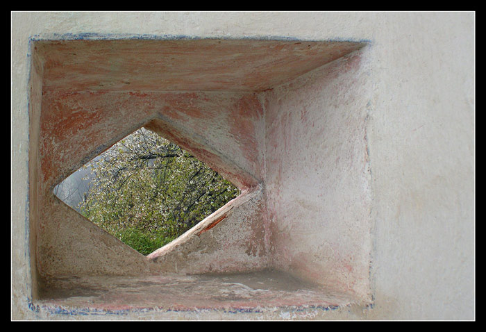 7_piante-dalla-finestra.jpg