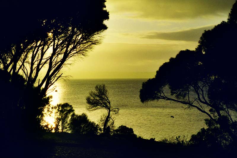 8-L'alba nascosta.jpg