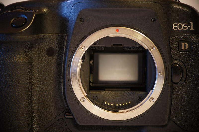 800-5D.jpg
