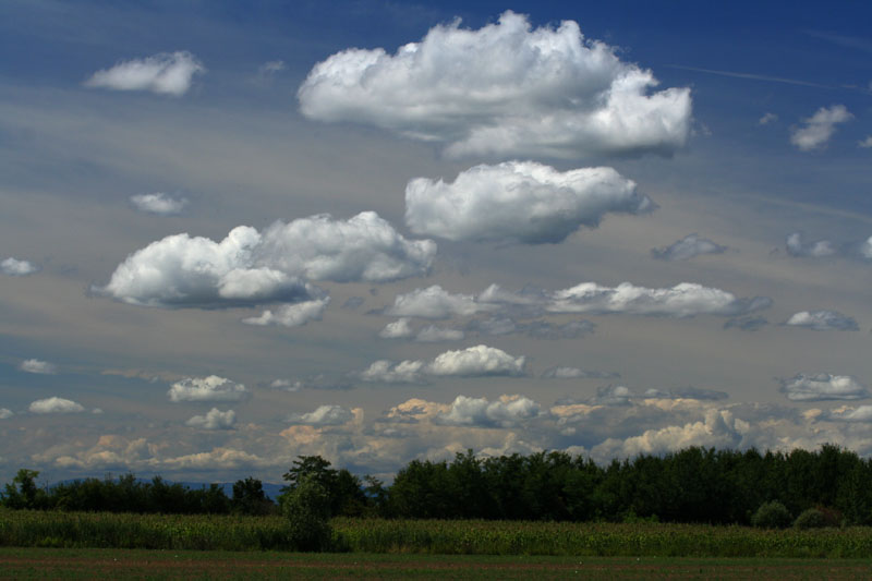 800.jpg