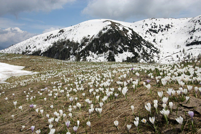 800 Bocca Paltrane (1831 m).jpg