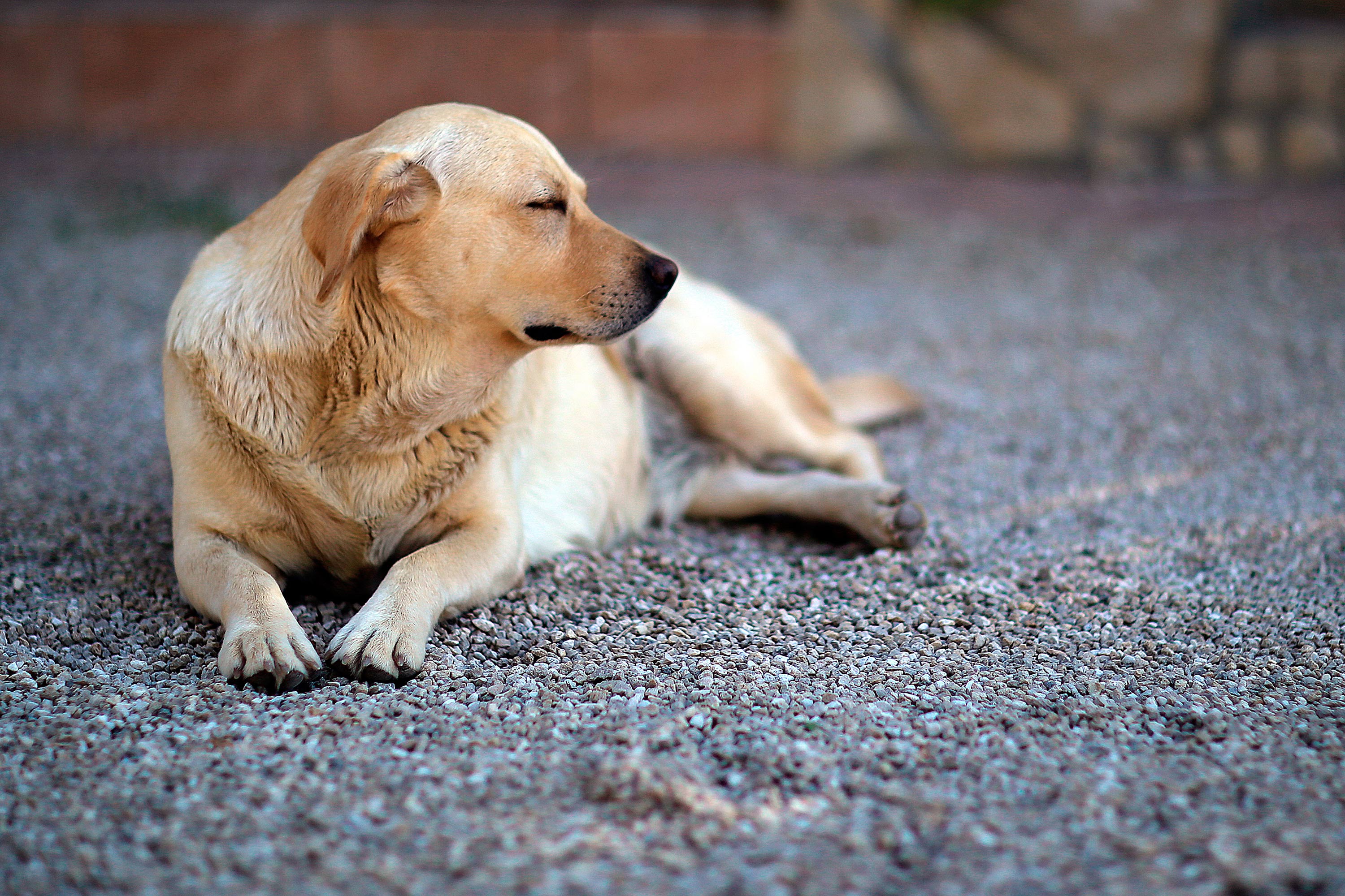 85mm f1e2.jpg