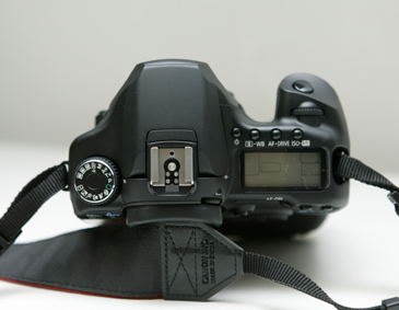 8E8U9466.jpg