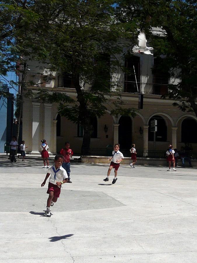 900_02_P1120065.jpg