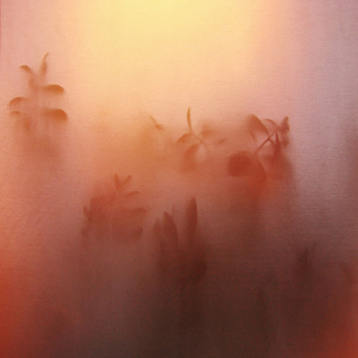 916_72.jpg