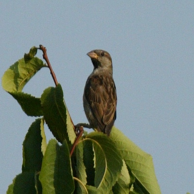928A8740c.JPG