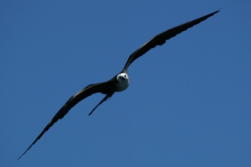 928A9916c.JPG
