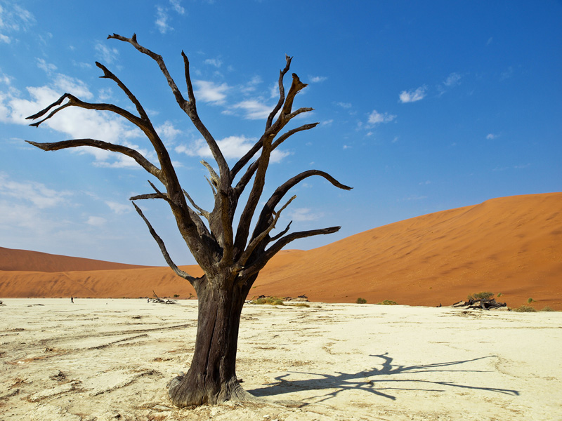 9 Dead-Vlei-flameweb.jpg
