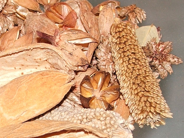 9b_5500_crop.jpg
