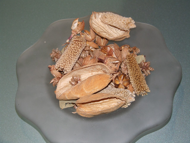 9b_5600.jpg