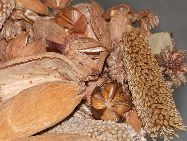 9b_5600_crop.jpg
