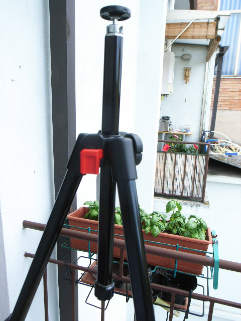 _0018740.JPG