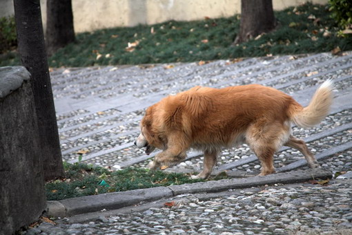 (1-320 s _ f-5.7 _ 800 ISO _ 135 mm) IMG09.jpg