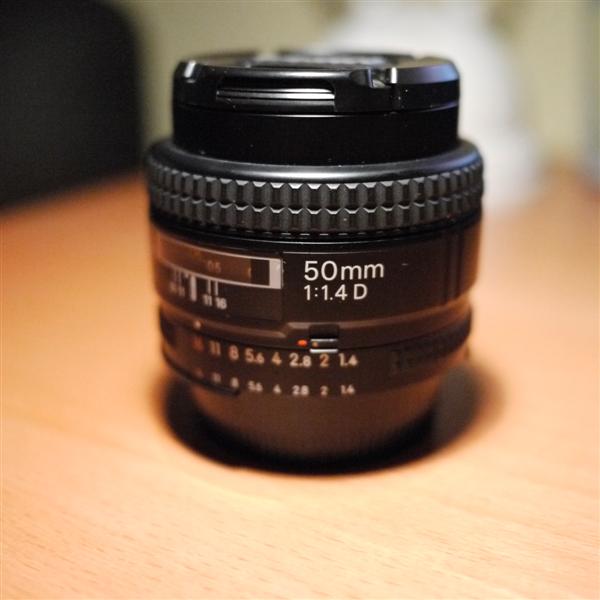 _1010053 (Medium).JPG