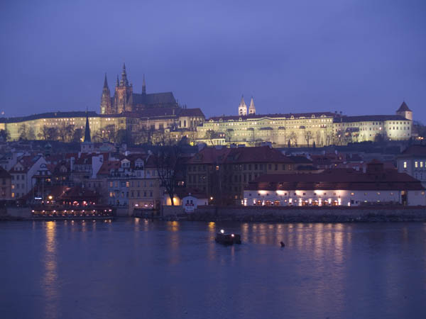 _1021625.jpg