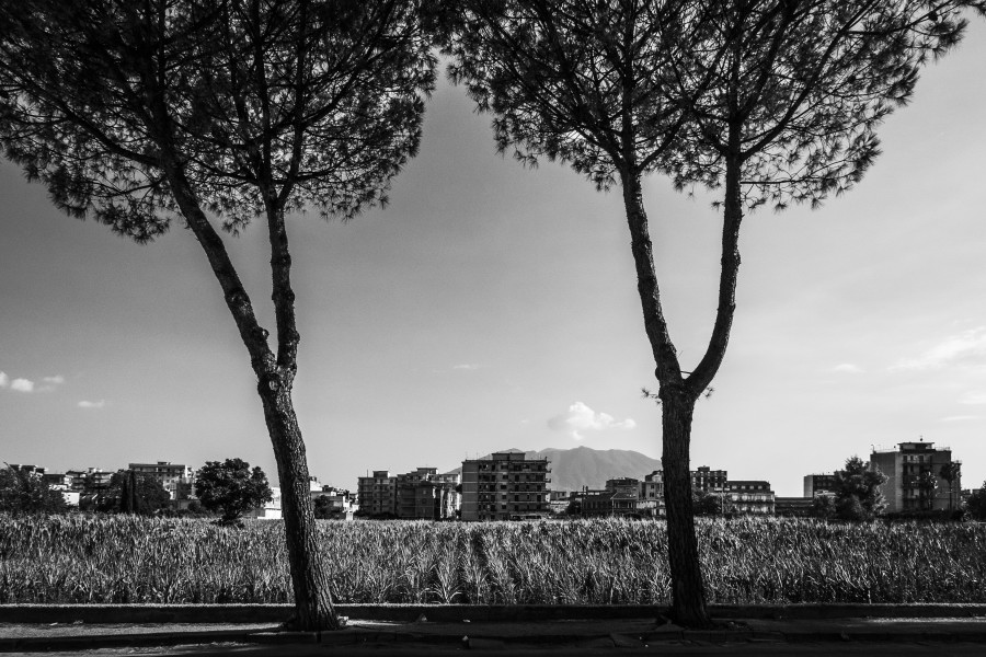 _1090560_0472.JPG