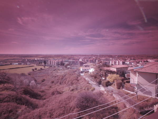 _2282416.jpg
