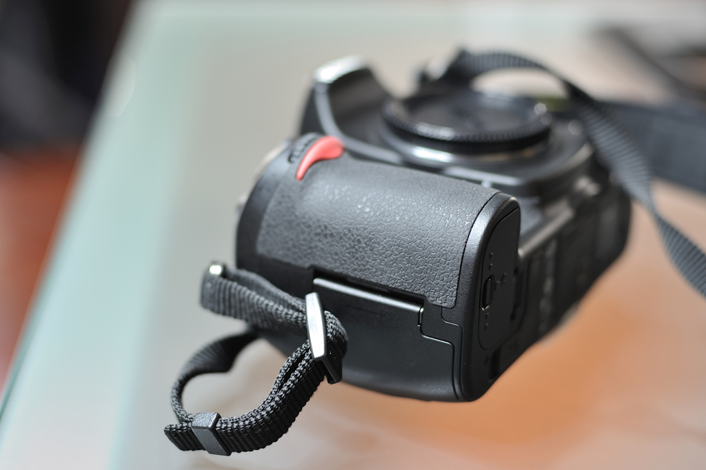 _7005641_web.jpg