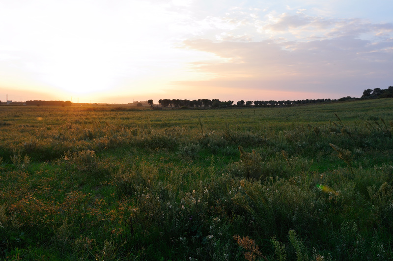 _ALE2042-senza-filtro.jpg