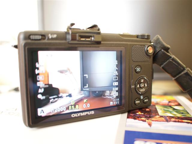 _B110071 (Small).JPG