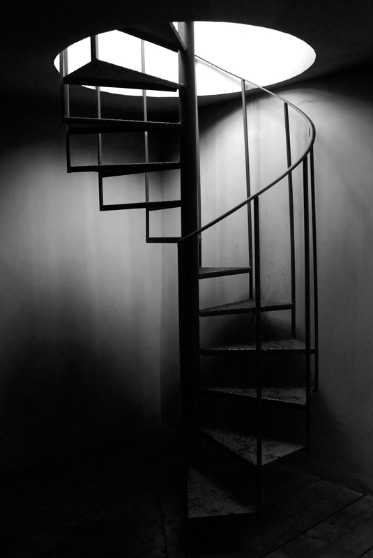 _D200025_crop_bn_800.jpg