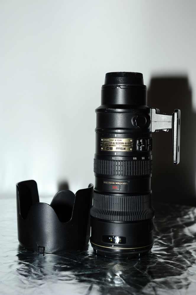 _D701101.JPG
