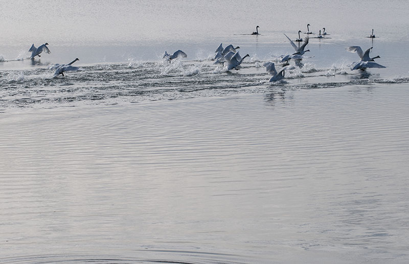 _DSC0007.jpg