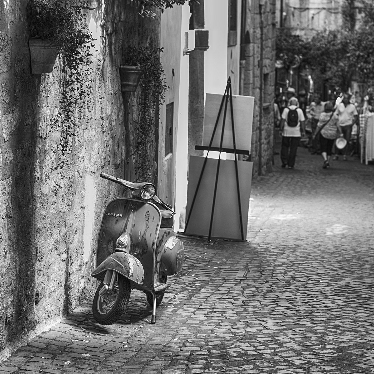 _DSC0009bn.jpg
