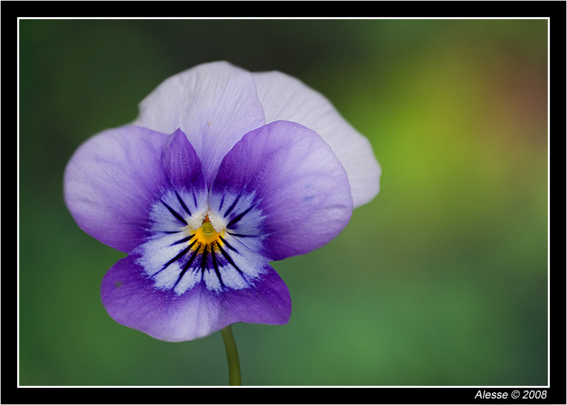 _DSC0023-copia.jpg