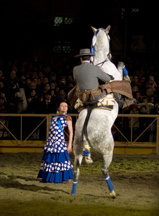 _DSC0031 colorif.jpg