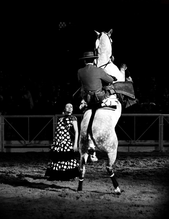 _DSC0031 copiaf.jpg