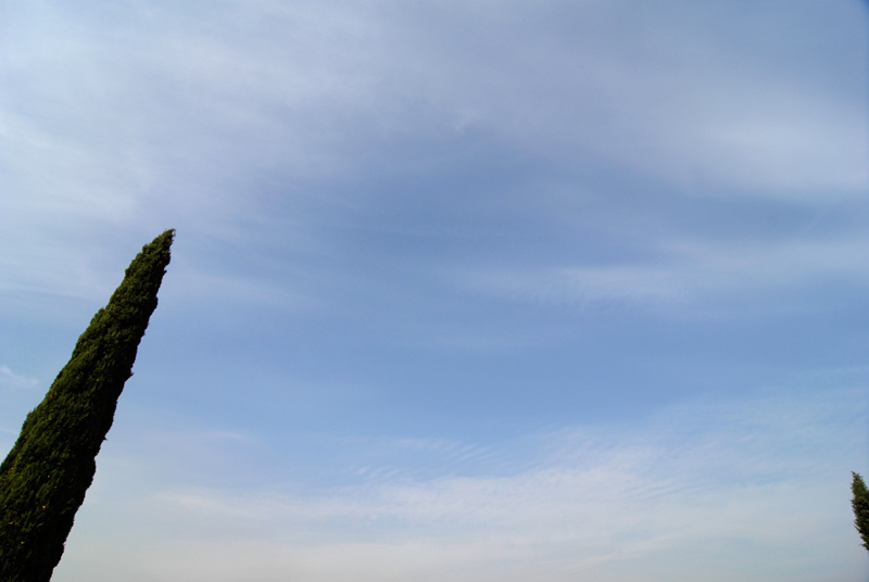 _DSC0078.jpg