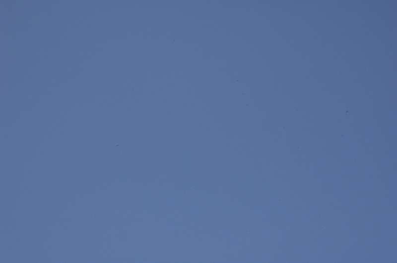 _DSC0083.JPG