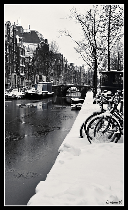 _DSC0110_2W.jpg