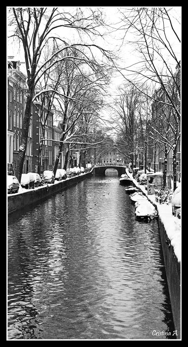 _DSC0117_W.jpg