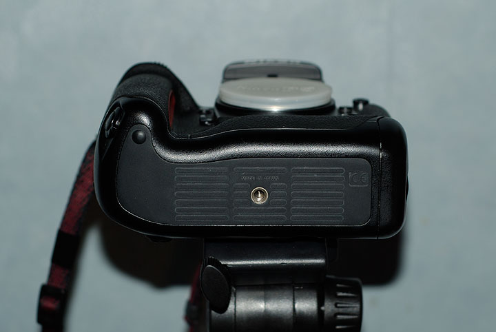 _DSC0126.jpg