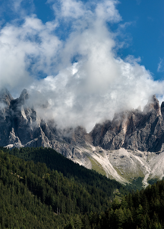 _DSC0134-trattata.jpg