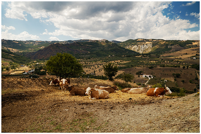 _DSC0135_colori.jpg