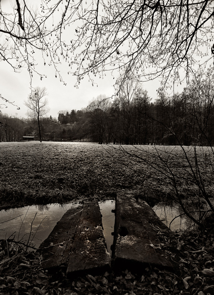 _DSC0154.jpg
