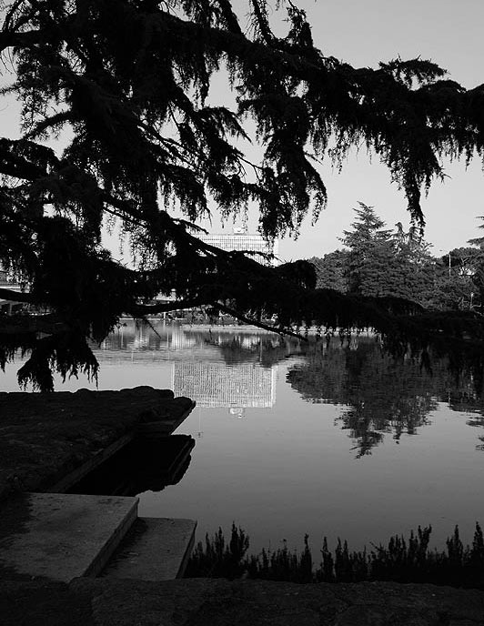 _DSC0215web2.jpg