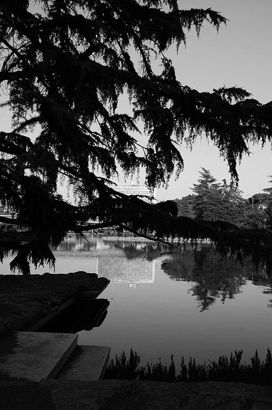 _DSC0215web.jpg