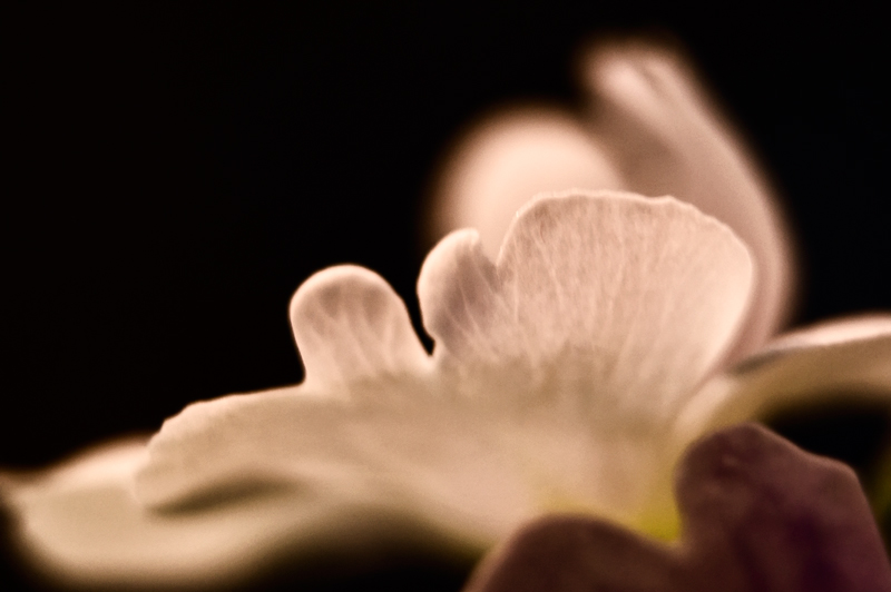 _DSC0224_1725-sm.jpg