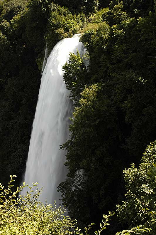 _DSC0250.jpg
