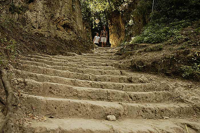 _DSC0260.jpg