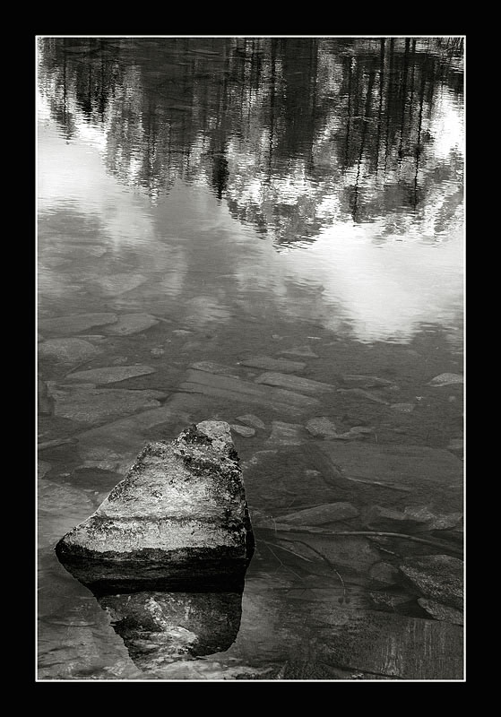 _DSC0317_Copy copia.jpg