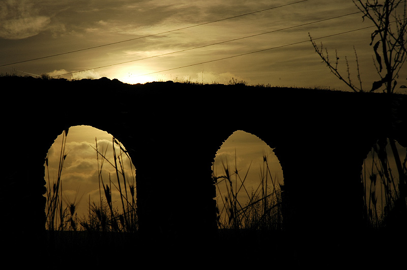 _DSC0360web.jpg