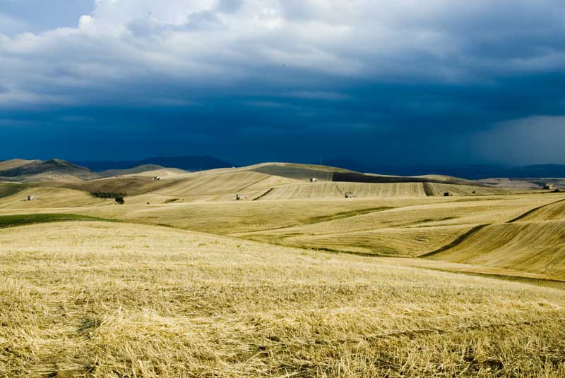 _DSC0650.jpg