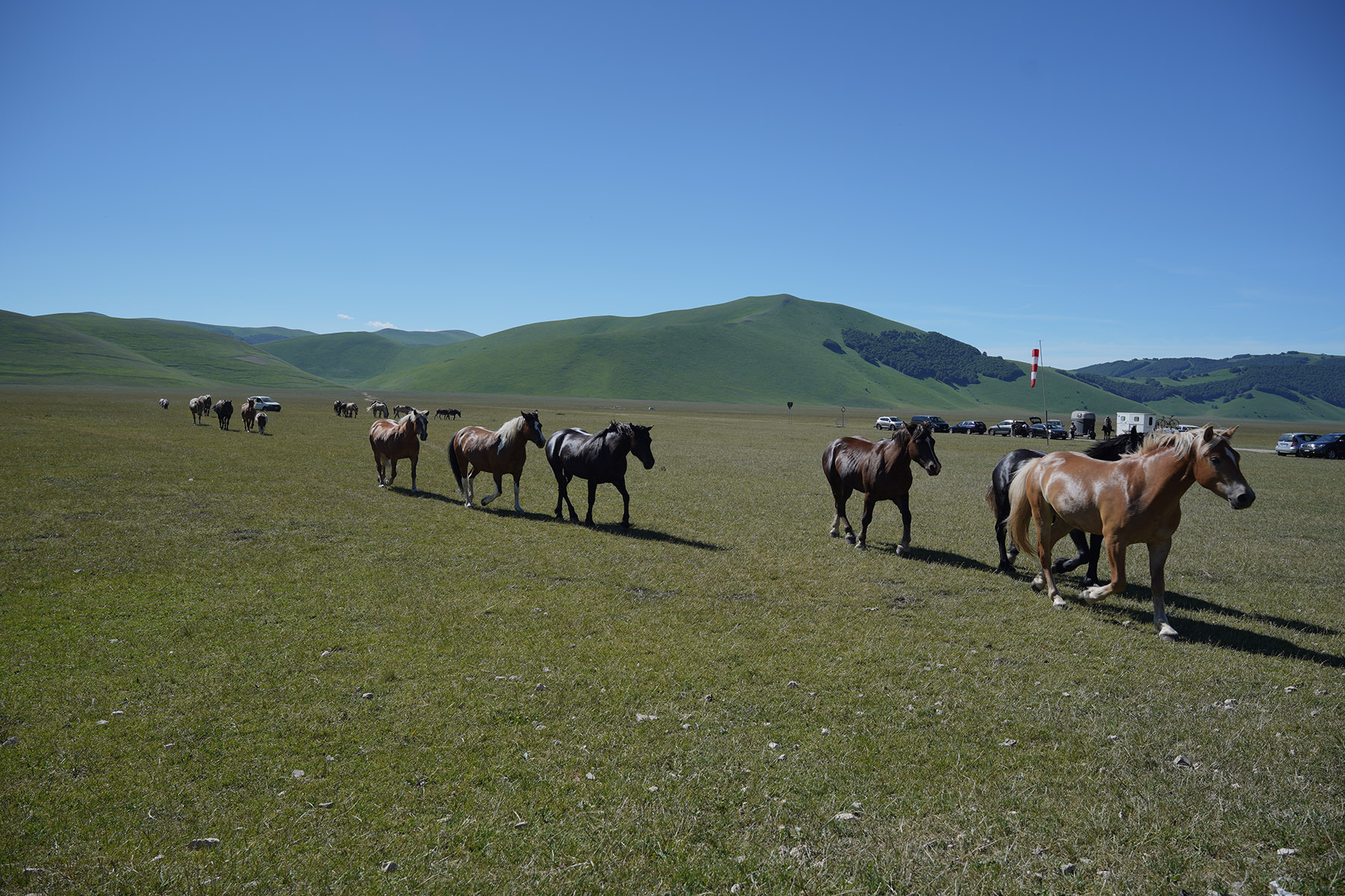 _DSC0672.jpg