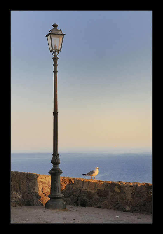 _DSC0726_Copy copia.jpg
