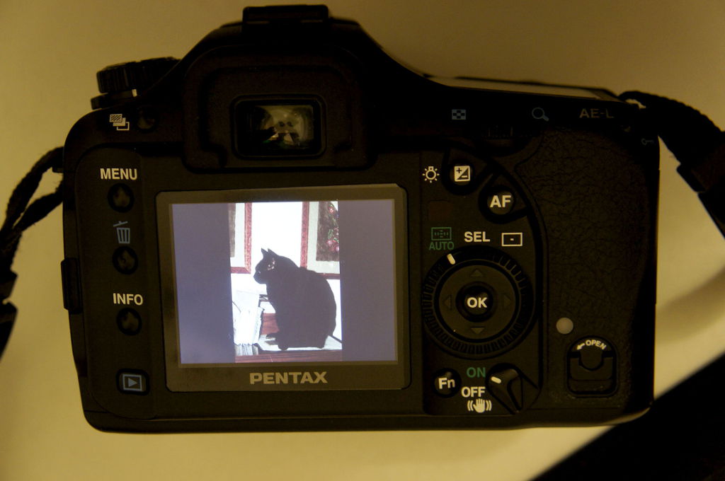 _DSC0980.JPG